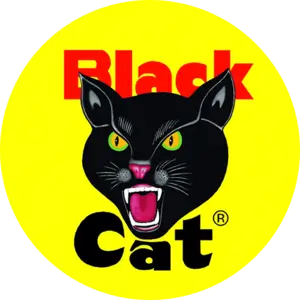 Black Car logo